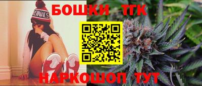 индика Пенза