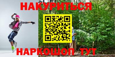 индика Пенза