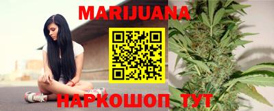 индика Пенза